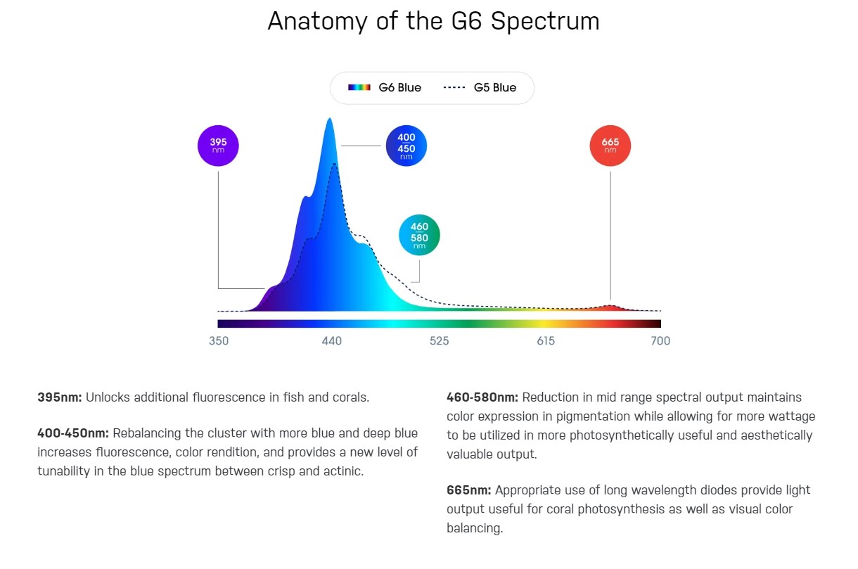 ecotech g6blue spectrum