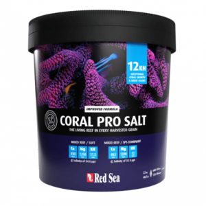 Coral Pro Salt